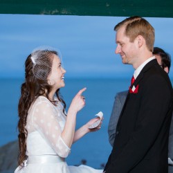 Whovian winter wedding