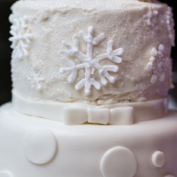Whovian winter wedding