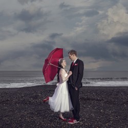 Whovian winter wedding