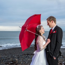 Whovian winter wedding