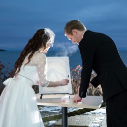 Whovian winter wedding