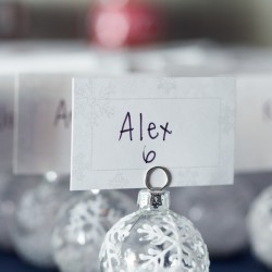Whovian winter wedding