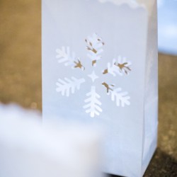 Whovian winter wedding