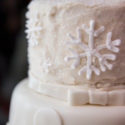 Whovian winter wedding