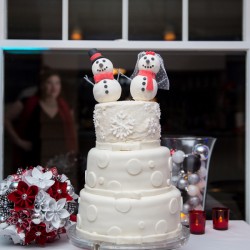 Whovian winter wedding