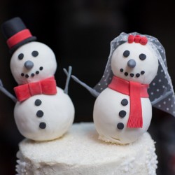 Whovian winter wedding