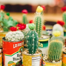 Latin American fiesta wedding as seen on @offbeatbride