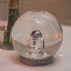 Oscars in space wedding as seen on @offbeatbride
