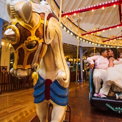 Wedding919of1037 - This genderqueer, sweets-loving, carousel wedding will have you in circles Genderqueer, sweets-loving, carousel wedding as seen on @offbeatbride