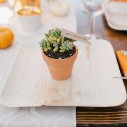 Backyard wedding as seen on @offbeatbride #vegan #wedding #california