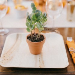 Backyard wedding as seen on @offbeatbride #vegan #wedding #california