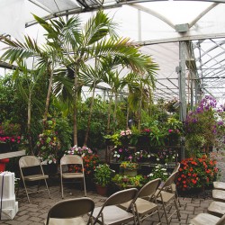 DSC 0003sdfgsdfg - A green house wedding shower: best idea or bestest idea? A green house wedding shower as seen on @offbeatbride #wedding #shower