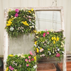 DSC 0027sdfgsdfg - A green house wedding shower: best idea or bestest idea? A green house wedding shower as seen on @offbeatbride #wedding #shower