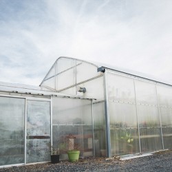 DSC 0040sdfgsdfg - A green house wedding shower: best idea or bestest idea? A green house wedding shower as seen on @offbeatbride #wedding #shower