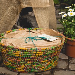 DSC 0280sdfgsdfg - A green house wedding shower: best idea or bestest idea? A greenhouse wedding shower as seen on @offbeatbride #wedding #shower