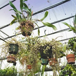 DSC 0313sdfgsdfg - A green house wedding shower: best idea or bestest idea? A greenhouse wedding shower as seen on @offbeatbride #wedding #shower