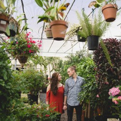 DSC 0315sdfgsdfg - A green house wedding shower: best idea or bestest idea? A green house wedding shower as seen on @offbeatbride #wedding #shower