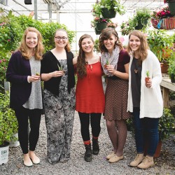 DSC 0369sdfgsdfg - A green house wedding shower: best idea or bestest idea? A green house wedding shower as seen on @offbeatbride #wedding #shower