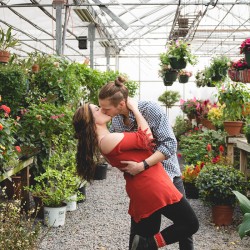 DSC CLsdfgsdfg - A green house wedding shower: best idea or bestest idea? A greenhouse wedding shower as seen on @offbeatbride #wedding #shower