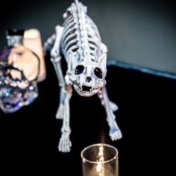 DanikaMonique 25 - This theatrical Halloween wedding slays with its dark glamour This gorgeous Halloween wedding slays with its spectacle as seen on @offbeatbride #halloween #wedding