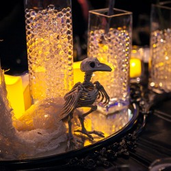 DanikaMonique3 - This theatrical Halloween wedding slays with its dark glamour This gorgeous Halloween wedding slays with its spectacle as seen on @offbeatbride #halloween #wedding