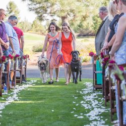 Hatmaker Doherty Stevi Sayler Photography MelissaLaurenWeddingTopPicks31 low - These two ladies (and their flower pooches!) rocked the most beautiful outdoor wedding A beautiful outdoor wedding as seen on @offbeatbride #outdoor #wedding #lgbt