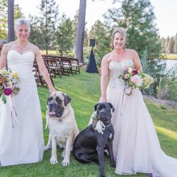 Hatmaker Doherty Stevi Sayler Photography MelissaLaurenWeddingTopPicks57 low - These two ladies (and their flower pooches!) rocked the most beautiful outdoor wedding A beautiful wedding as seen on @offbeatbride #outdoor #wedding #lgbt