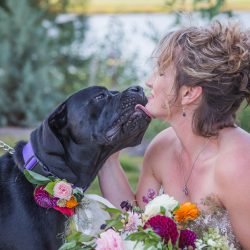 Hatmaker Doherty Stevi Sayler Photography MelissaLaurenWeddingTopPicks59 low - These two ladies (and their flower pooches!) rocked the most beautiful outdoor wedding A beautiful wedding as seen on @offbeatbride #outdoor #wedding #lgbt