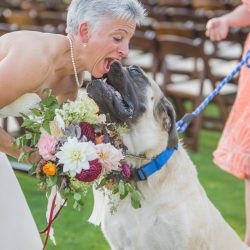 Hatmaker Doherty Stevi Sayler Photography MelissaLaurenWeddingTopPicks61 low - These two ladies (and their flower pooches!) rocked the most beautiful outdoor wedding A beautiful wedding as seen on @offbeatbride #outdoor #wedding #lgbt
