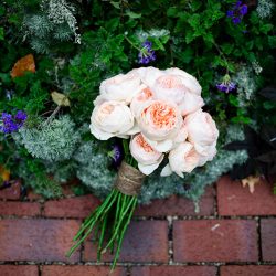 226 0050 - See the most beautiful backyard greenhouse wedding (with self-uniting musical ceremony!) Gorgeous greenhouse wedding as seen on @offbeatbride