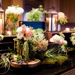 226 0549 - See the most beautiful backyard greenhouse wedding (with self-uniting musical ceremony!) Gorgeous greenhouse backyard wedding as seen on @offbeatbride