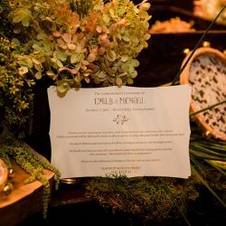 226 0577 - See the most beautiful backyard greenhouse wedding (with self-uniting musical ceremony!) 226 0577