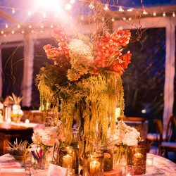 226 0696 - See the most beautiful backyard greenhouse wedding (with self-uniting musical ceremony!) Gorgeous greenhouse backyard wedding as seen on @offbeatbride