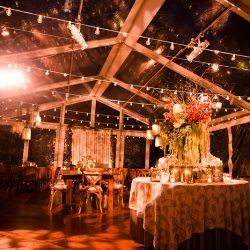 226 0745 - See the most beautiful backyard greenhouse wedding (with self-uniting musical ceremony!) Gorgeous greenhouse backyard wedding as seen on @offbeatbride