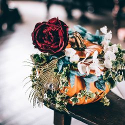 JamieTom 064 - This Tudor-themed wedding had birds of prey, archery, and amazing garb Tudor wedding as seen on @offbeatbride #medieval #tudor #wedding