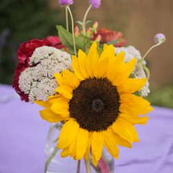 Wildflower backyard wedding as seen on @offbeatbride