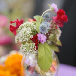 Wildflower backyard wedding as seen on @offbeatbride