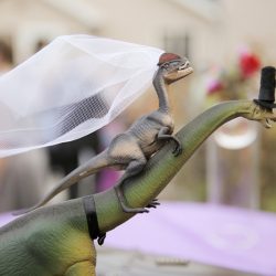 Wildflower backyard wedding as seen on @offbeatbride