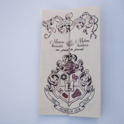 Harry Potter meets Star Wars wedding as seen on @offbeatbride