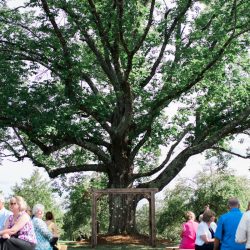 Schiavoni Collins Cortney Vamvakias Photography LLC mjblog17 low - A movies and food truck wedding that fills our flowers and pastel-loving hearts A movies and food truck wedding that fills our flowers and pastel-loving hearts