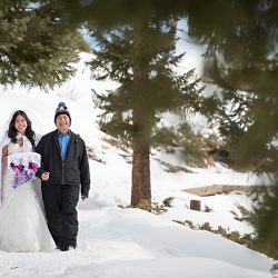A shredding wedding: snowboarding post-nuptials is a total win