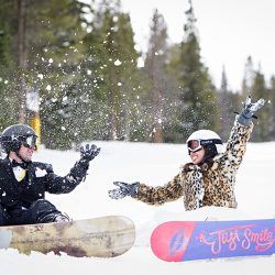 A shredding wedding
