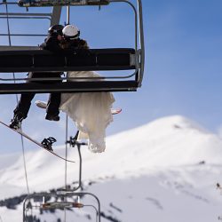 A shredding wedding