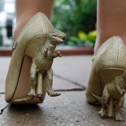 Jurassic Jamboree: a dinosaur wedding with tacos, T-Rex heels, and a golden claw