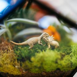 Jurassic Jamboree: a dinosaur wedding with tacos, T-Rex heels, and a golden claw