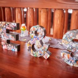 48. Monograms - Your princess IS in this castle: an elegant Super Mario wedding Your princess IS in this castle: an elegant Super Mario wedding