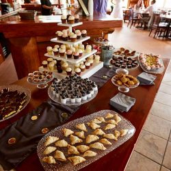 55. Dessert Bar Includes Homemade Desserts Desserts by Sara Lee Lake Haus of Desserts Prairie Girl Cupcakes - Your princess IS in this castle: an elegant Super Mario wedding Your princess IS in this castle: an elegant Super Mario wedding