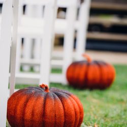 Fox Seto AOampJO Photography AOJOPhotographyRaleighNCWeddingPhotographer198a low - Come for Maleficent, stay for Indiana Jones at this gorgeous fall costume wedding Come for Maleficent, stay for Indiana Jones at this gorgeous fall costume wedding