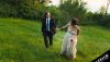 Philadelphia Allebach Offbeat 1 3 - Chemistry, price, and a "bait & switch" scheme: real talk tips for how to choose a wedding photographer Philadelphia Allebach Offbeat 1 3