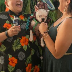 Jurassic Jamboree: a dinosaur wedding with tacos, T-Rex heels, and a golden claw
